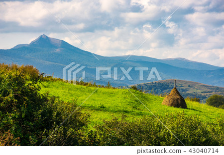 haystack on a grassy slope haystack on a grassy slope 43040714