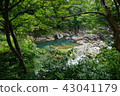 Sei Mi River flow 43041179
