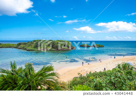 西表島星沙灘 43041448