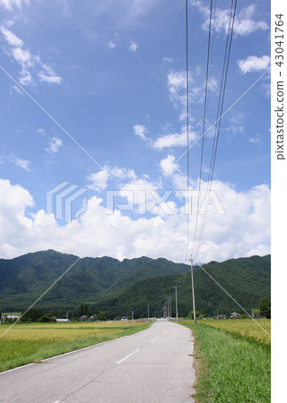 Summer country road 01 Summer country road 01 43041764