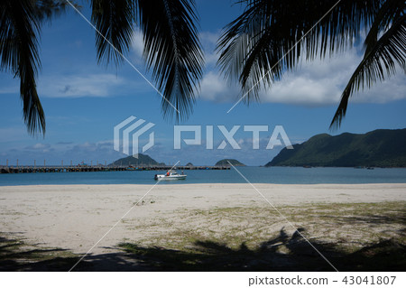 Condado Island Condado Island 43041807