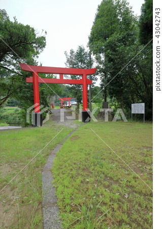 Shintama Shrine 43042743