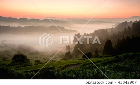 梯田(早晨) 梯田(早晨) 43042907