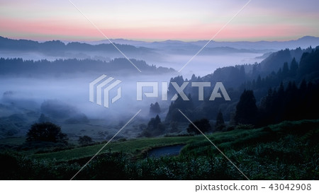 梯田(早晨) 梯田(早晨) 43042908