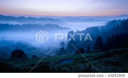 梯田(早晨) 梯田(早晨) 43042909