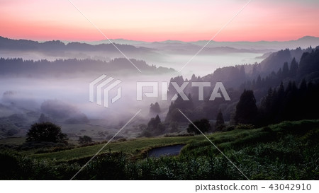 梯田(早晨) 梯田(早晨) 43042910