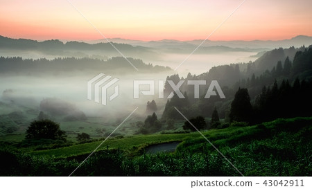 梯田（早晨） 43042911