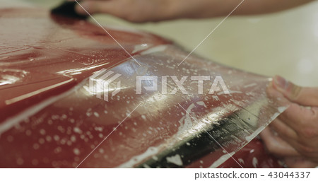 professional applying protective film to the red car professional applying protective film to the red car 43044337