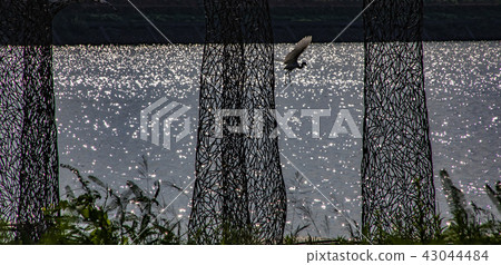 水波潾光 43044484