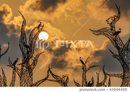 林間夕陽 43044489