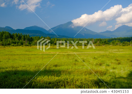 Odashirogahara 43045153