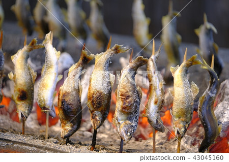 Salt-grilled salmon Salt-grilled salmon 43045160