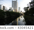 江岸 43045421