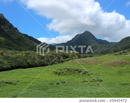 Mountains and prairies of Kualoa Lunch. 2018/4/24 Mountains and prairies of Kualoa Lunch. 2018/4/24 43045472