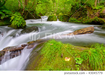 阿修羅的流動 43045779