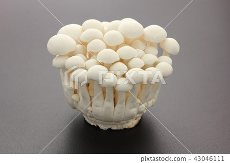 白beakameji 43046111