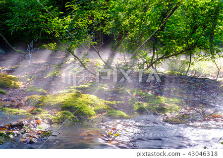 Nakashimadai · Shishonosei Mire Nakashimadai · Shishonosei Mire 43046318