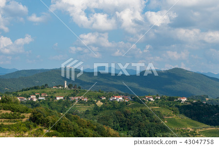 Village of Kojsko, Sloveniain famous wine growing region of Goriska Brda, lit by sun and clouds in 43047758