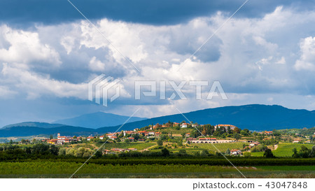 Village of Vipolze, SLoveniain famous wine growing region of Goriska Brda, with vineyards and 43047848