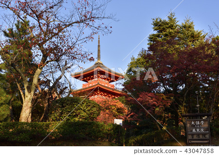 清水寺三塔 清水寺三塔 43047858