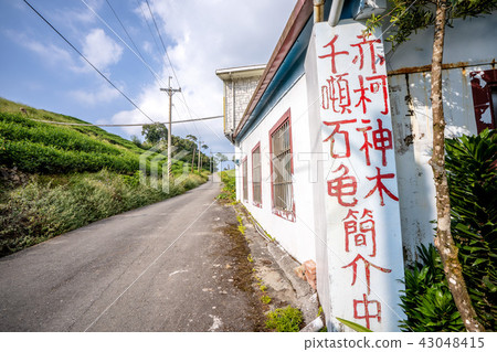Hualien Chikhan Golden Needle Thousand Tons of Stone Turtles Chike Shenmu Orange Daylily Forgetting Grass Golden Needles Hualien Chikhan Golden Needle Thousand Tons of Stone Turtles Chike Shenmu Orange Daylily Forgetting Grass Golden Needles 43048415