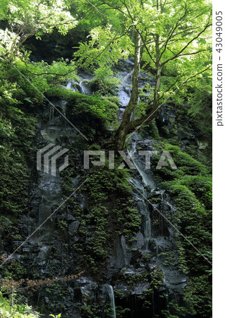 Sukkanizawa Yuhi no Taki Pillar-like joint seen at the end point of the walkway and underwater waterfall 43049005