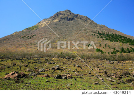 大分縣春天的御府山腳岩區 43049214