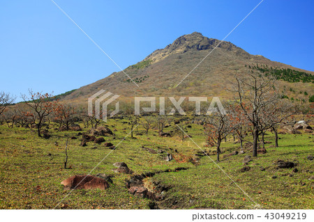 Oita Prefecture Spring Yufudama footbelt 43049219