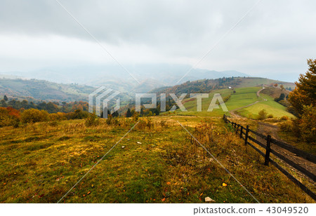 Autumn Carpathians (Ukraine). Autumn Carpathians (Ukraine). 43049520