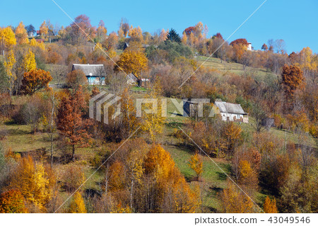 Autumn Carpathian mountains (Ukraine). Autumn Carpathian mountains (Ukraine). 43049546
