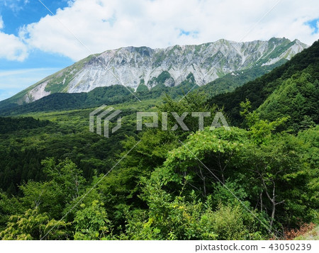 A view from Oyama key ring in summer Oyama 43050239