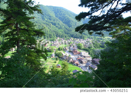 Shirakawago Landscape 43050251