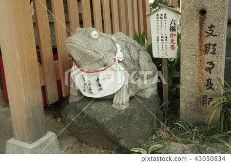尼崎惠比壽神社 尼崎惠比壽神社 43050834