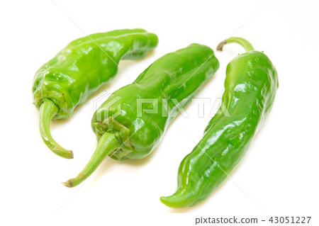 Organic Shishito 43051227