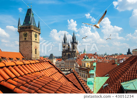 Birds over Old Town Square 43051234
