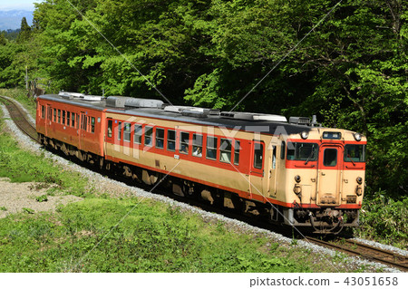 運行Banetsukoshi線Kiha 48 Express顏色+ Kiha 47都市區顏色 運行Banetsukoshi線Kiha 48 Express顏色+ Kiha 47都市區顏色 43051658