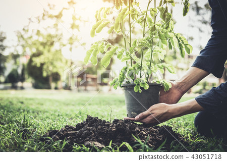 Young man planting the tree in the garden as earth day and save 43051718