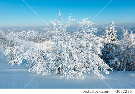 Winter mountain snowy landscape 43052256