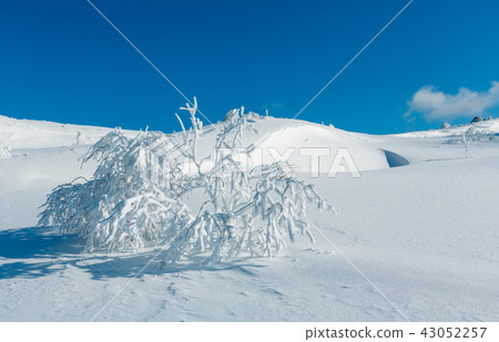 Winter mountain snowy landscape Winter mountain snowy landscape 43052257