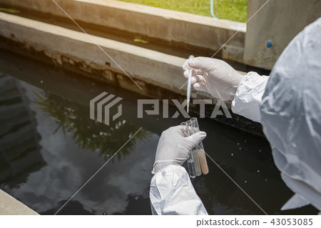 Scientists are examining the quality of waste Scientists are examining the quality of waste 43053085