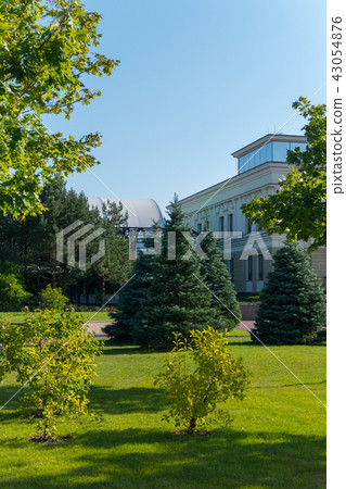 A trimmed lawn in the park with green high firs gr 43054876