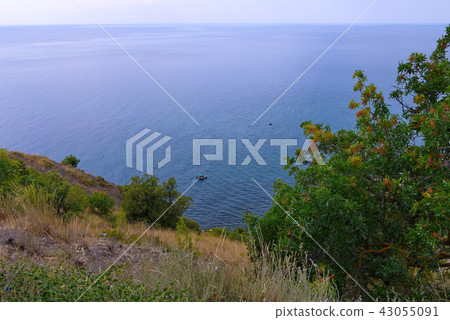 beautiful blue sea with a rocky lawn in the foregr beautiful blue sea with a rocky lawn in the foregr 43055091