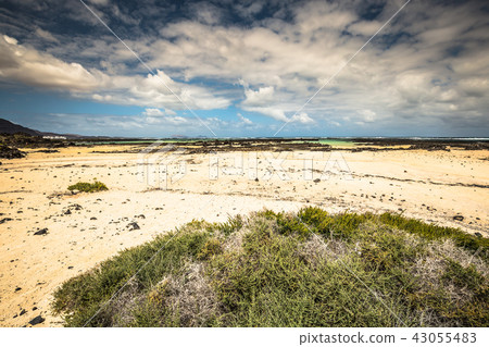 The coast of Atlantic ocean near town Orzola The coast of Atlantic ocean near town Orzola 43055483