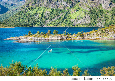Beautiful landscape of Norway, Scandinavia Beautiful landscape of Norway, Scandinavia 43055600
