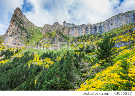 Beautiful landscape of famous Ordesa National Park 43055857