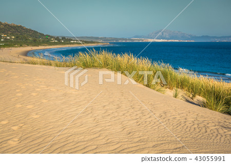 Dune of Punta Paloma, Tarifa, Andalusia, Spain 43055991