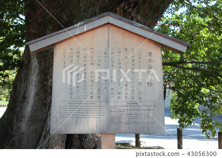 Kiyomoriya Shimizuya家族的Ryou Kiyomoriya Shimizuya家族的Ryou 43056300