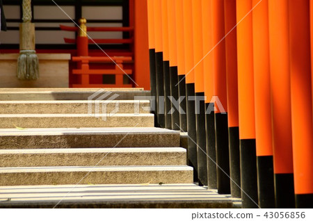 Ikuta Shrine 43056856