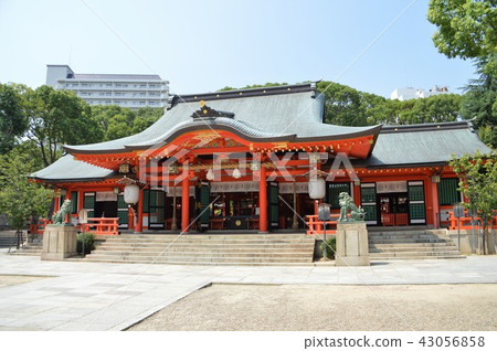 Ikuta Shrine 43056858