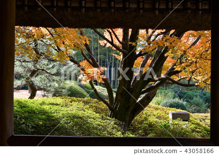 Autumn's Townscape Poetry Izumikaku Autumn's Townscape Poetry Izumikaku 43058166